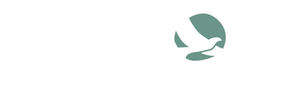 SOAR Counselling