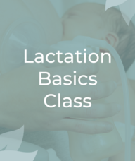 Book an Appointment with Lactation Basics Class for Workshops & Classes