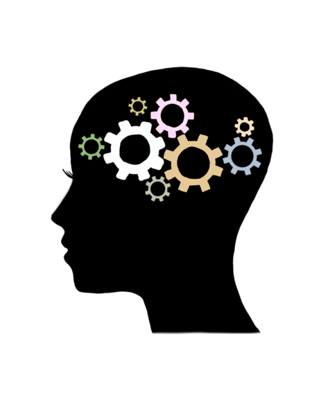 Focus Forward Therapy Group